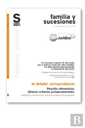 Pensión Alimenticia: Últimos Criterios Jurisprudenciales