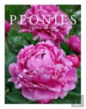 Peonies