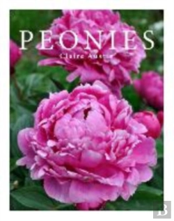 Bertrand.pt - Peonies