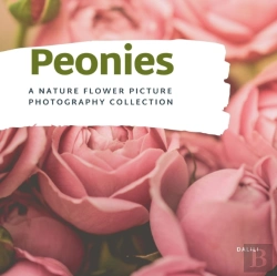 Bertrand.pt - Peonies