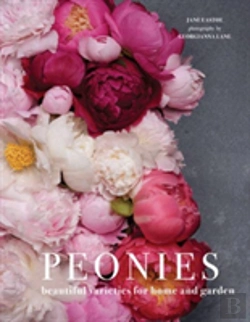 Bertrand.pt - Peonies