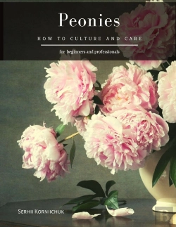 Bertrand.pt - Peonies