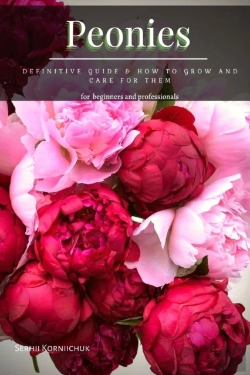 Bertrand.pt - Peonies