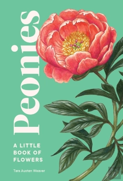 Bertrand.pt - Peonies