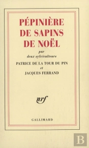Pépinière De Sapins De Noël, Par Deux Sylviculteurs
