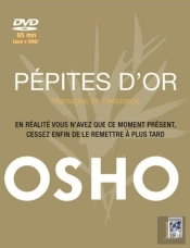 Pépites D'Or ; Messages De L'Existence