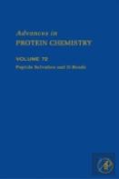 Peptide Solvation And H-Bonds