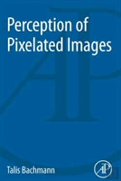 Bertrand.pt - Perception Of Pixelated Images