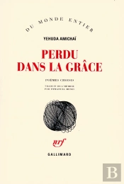 Perdu Dans La Grace (Poemes Choisis)