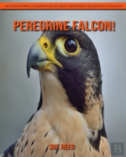 Bertrand.pt - Peregrine Falcon! An Educational Children'S Book About Peregrine Falcon With Fun Facts