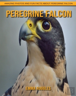 Bertrand.pt - Peregrine Falcon