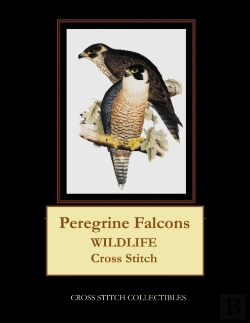 Bertrand.pt - Peregrine Falcons
