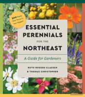 Perennials For The Northeast