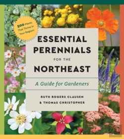 Bertrand.pt - Perennials For The Northeast
