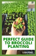 Perfect Guide To Broccoli Planting