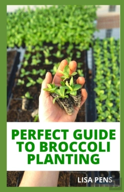 Bertrand.pt - Perfect Guide To Broccoli Planting