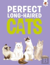 Perfect Long-Haired Cats