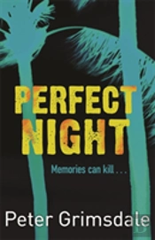 Perfect Night