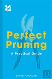 Perfect Pruning