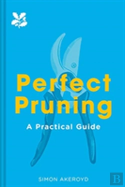 Bertrand.pt - Perfect Pruning
