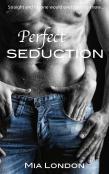 Perfect Seduction