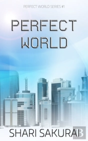 Perfect World