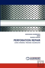 Perforation Repair