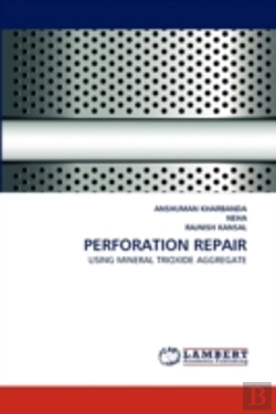 Bertrand.pt - Perforation Repair