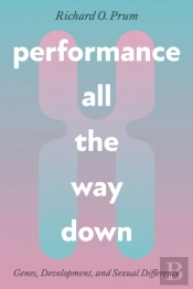 Performance All The Way Down