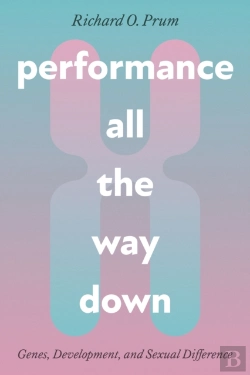 Bertrand.pt - Performance All The Way Down