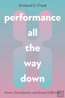 Bertrand.pt - Performance All The Way Down