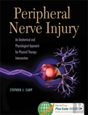 Peripheral Nerve Injury: An Anatomical And Physiological Approac