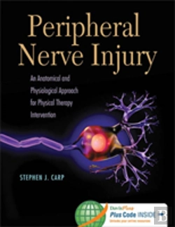 Bertrand.pt - Peripheral Nerve Injury: An Anatomical And Physiological Approac