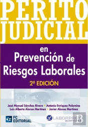Perito Judicial En Prevención De Riesgos Laborales