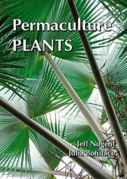 Bertrand.pt - Permaculture Plants