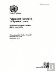 Permanent Forum On Indigenous Issues