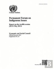 Permanent Forum On Indigenous Issues
