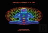 Permission To Fly