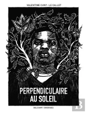 Perpendiculaire Au Soleil