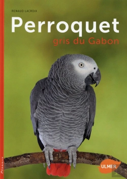 Bertrand.pt - Perroquet Gris Du Gabon
