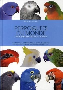 Bertrand.pt - Perroquets Du Monde