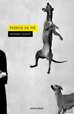Bertrand.pt - Perros De Pie