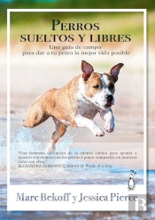 Perros Sueltos Y Libres