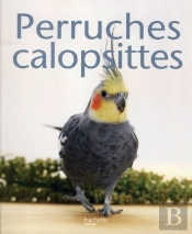 Perruche Calopsitte
