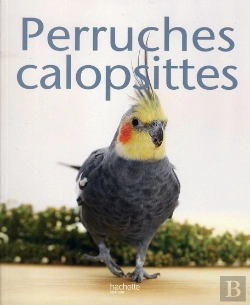 Bertrand.pt - Perruche Calopsitte