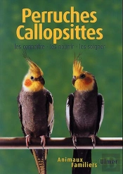 Perruches Calopsittes