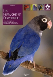 Perruches Et Perroquets