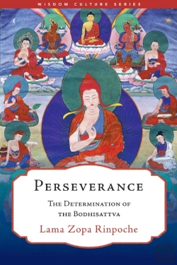 Bertrand.pt - Perseverance
