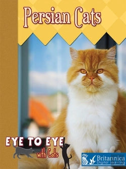 Bertrand.pt - Persian Cats