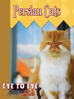 Bertrand.pt - Persian Cats